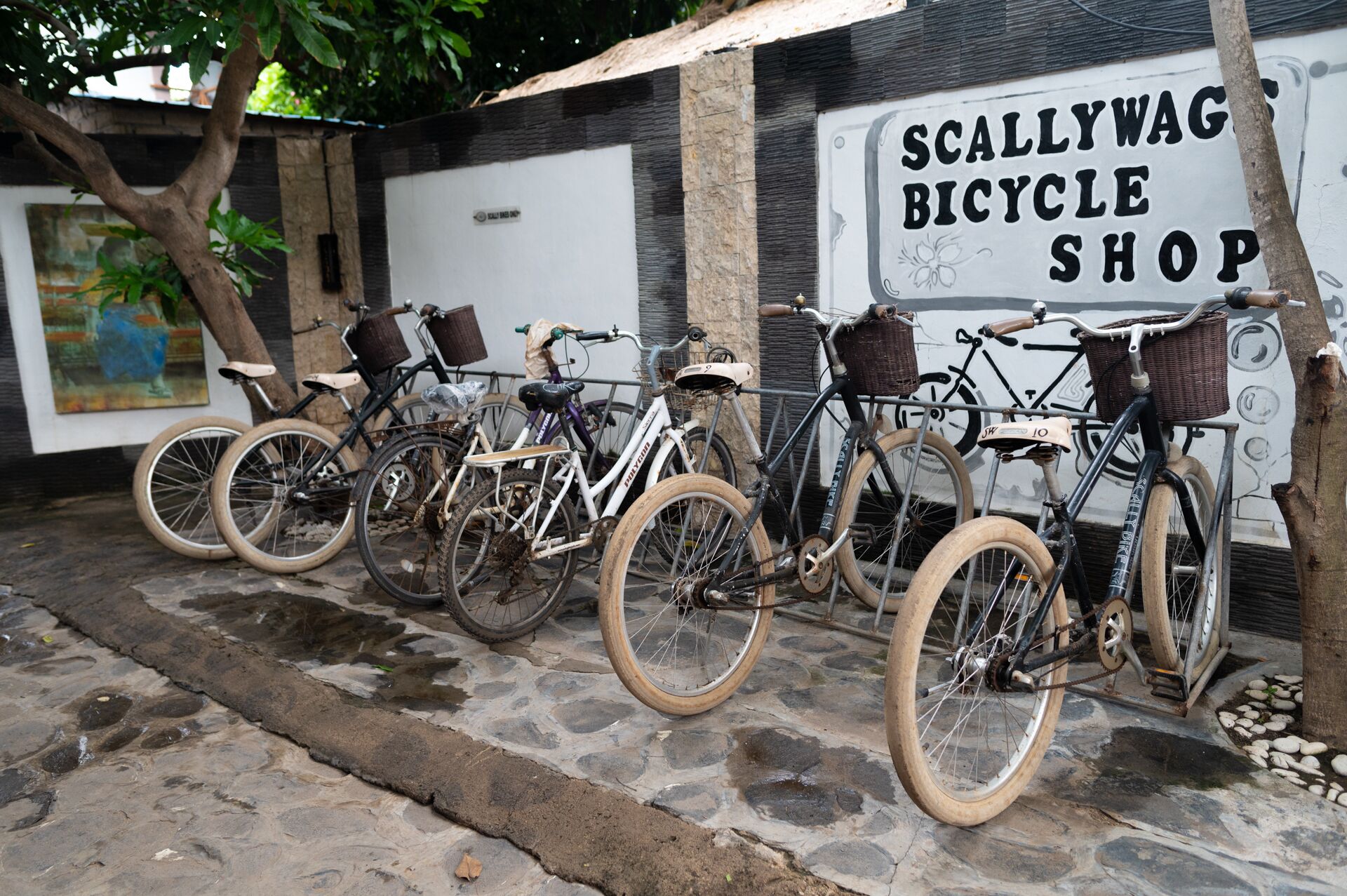 A row of bicycles parked outside a shop named "SCALLYWAG BICYCLE SHOP".