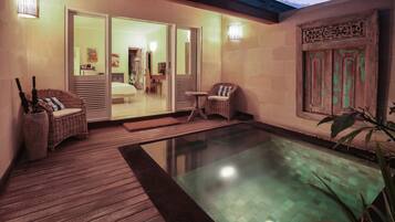 Private Plunge Pool Room | View from room