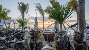 Bicycles parked near a beach with palm trees and a sunset in the background. - Scallywags Resort (Gili Trawangan)