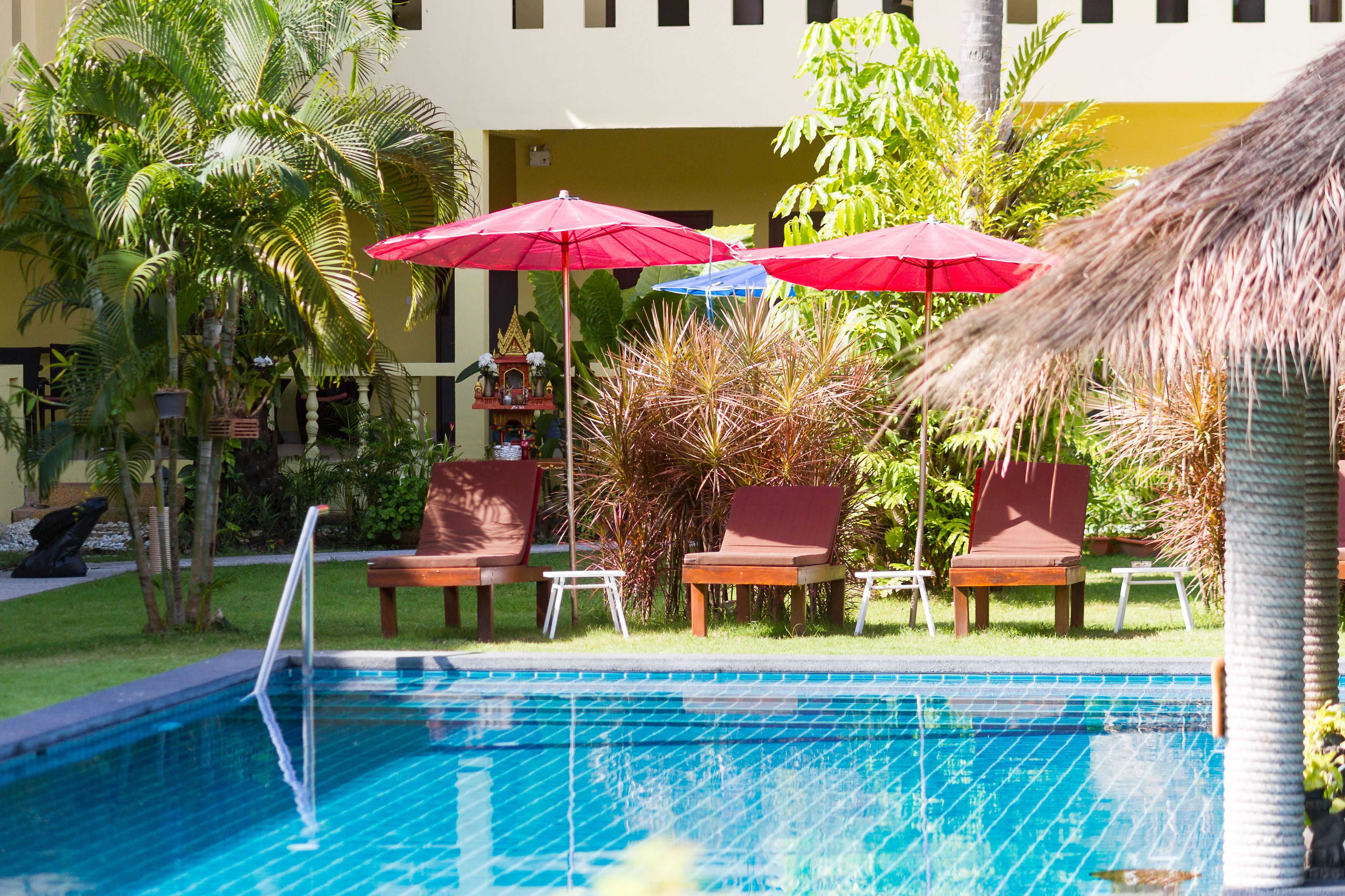 outdoor pool, pool loungers