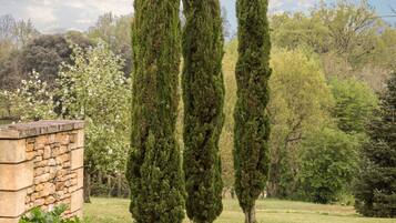 Un mur de pierres avec une haie dans un jardin.