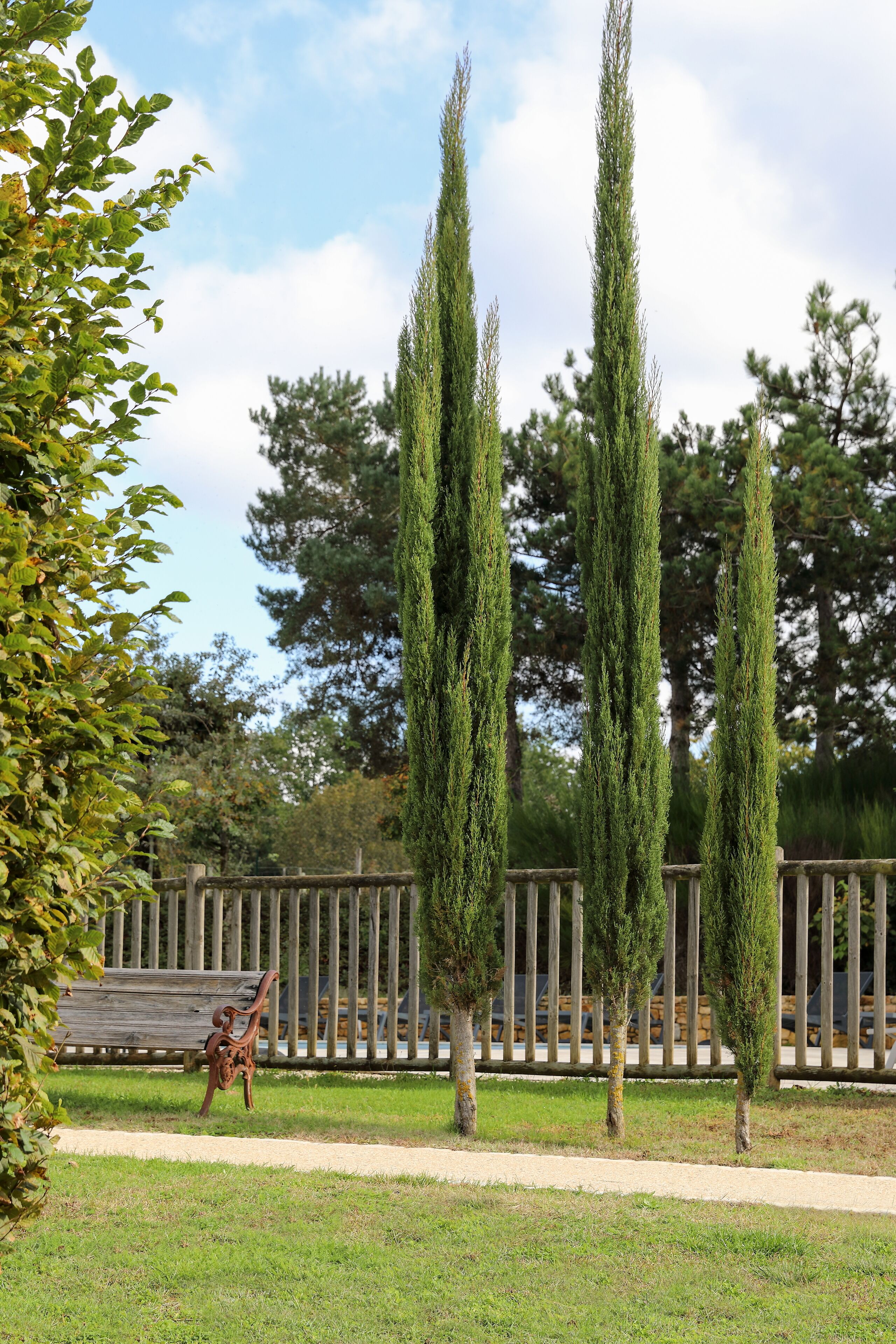 Photo - Hotel Le Mas de Castel - Piscine chauffee