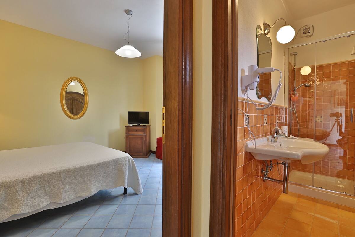 A hotel room with a bed, a television, a wooden cabinet, and a bathroom with a sink and shower.