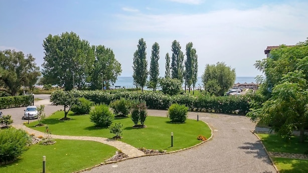 A well-maintained garden with a curved driveway, tall trees, and a view of the sea.