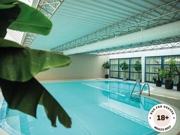 Una piscina interior con vista despejada del área de la piscina, plantas en macetas y un techo con estructura metálica.