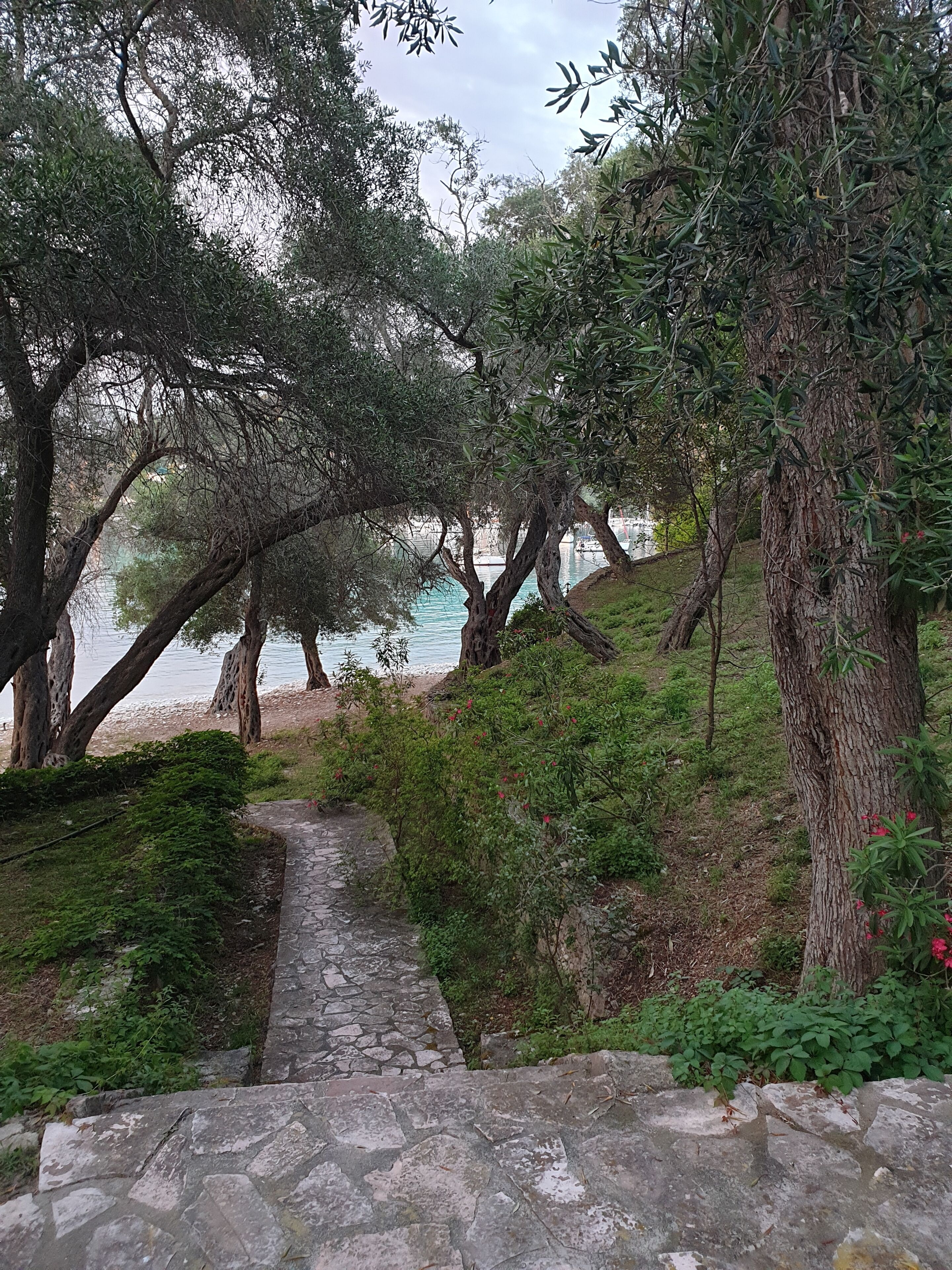 A stone pathway leading through a lush, green area with trees and shrubs.