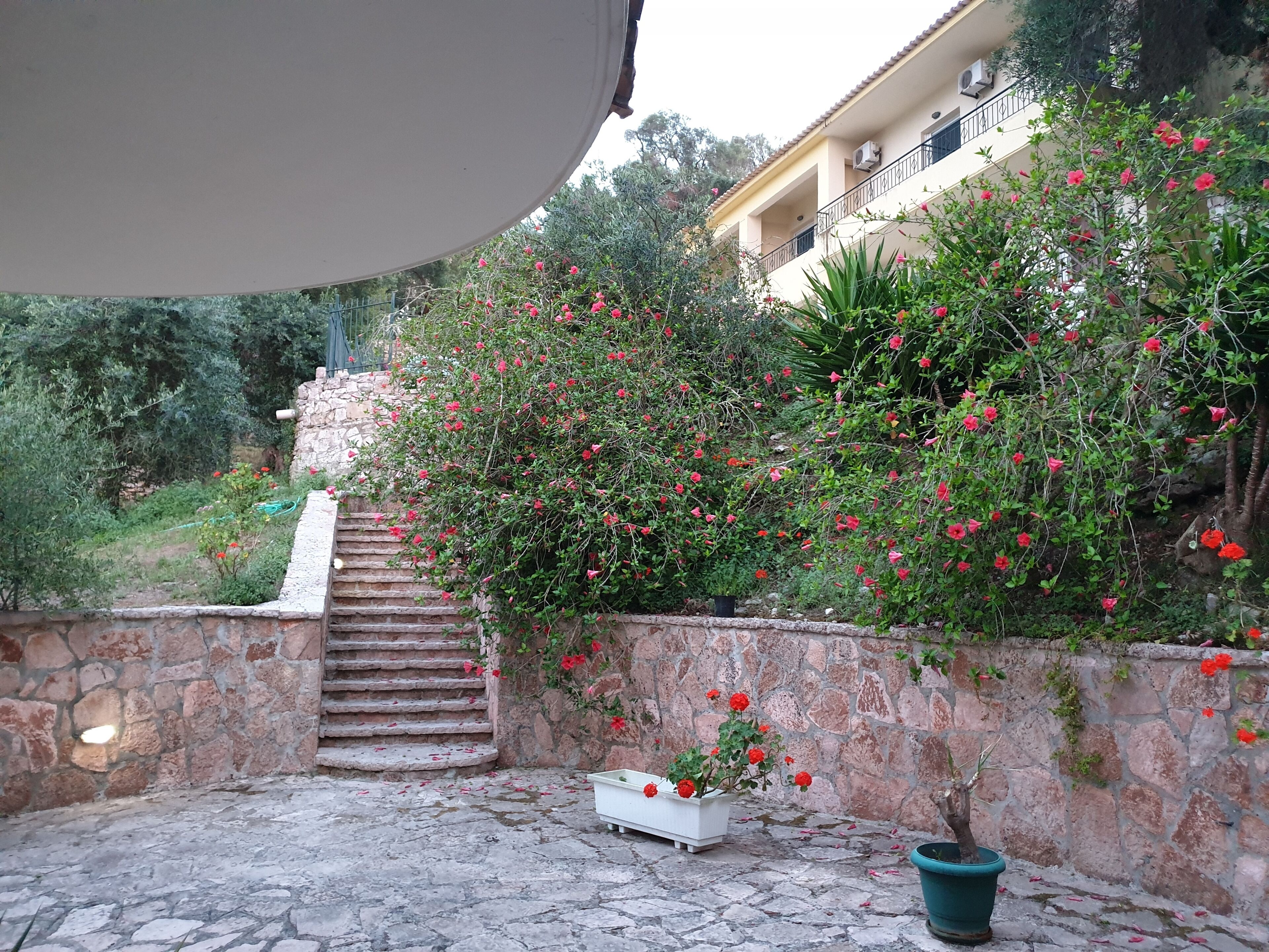 A stone staircase leading up to a building with a balcony, surrounded by lush greenery and red flowers.