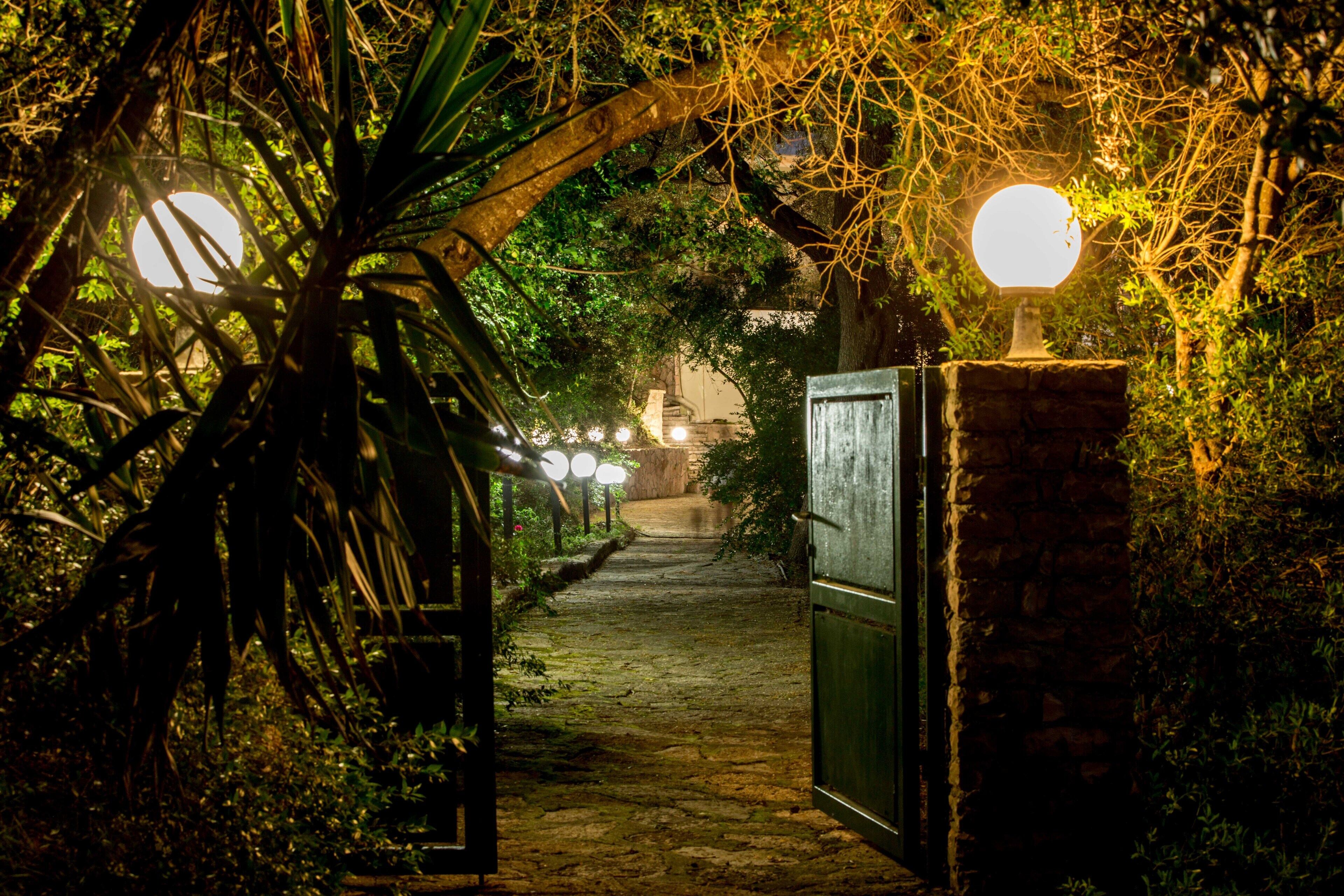 A stone pathway leading through a lush garden at night, illuminated by spherical lights.
