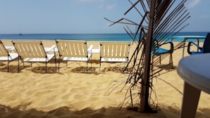 A beach with rows of sun loungers and a palm tree.