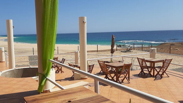 A terrace with a view of the beach, outdoor seating, and a large green plant.