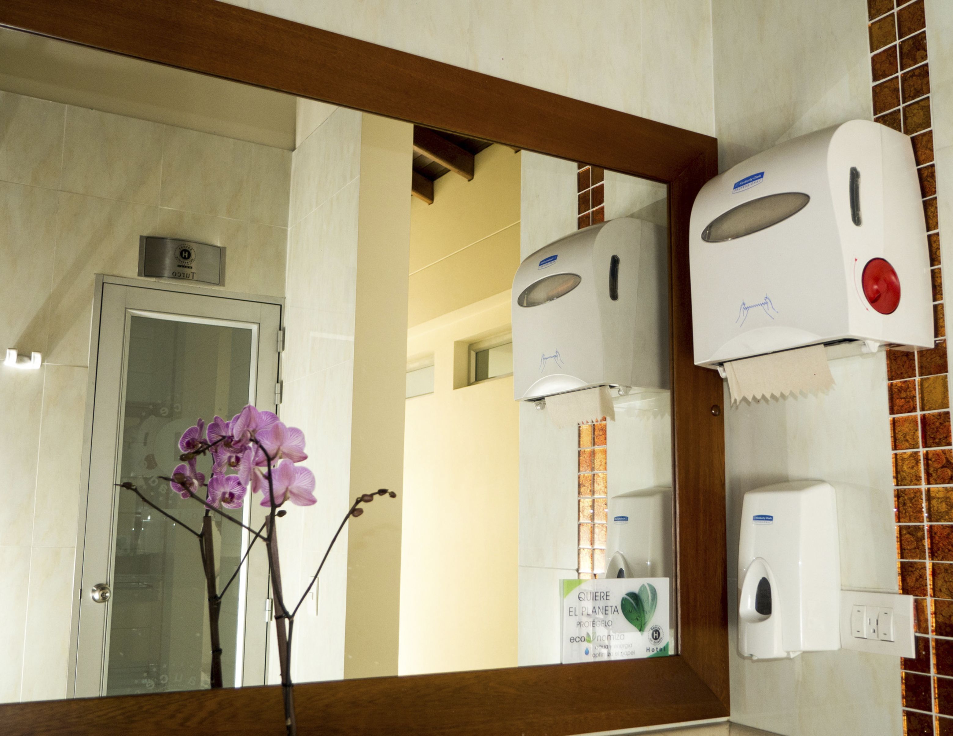 superior double room | bathroom | shower, free toiletries, hair dryer, towels