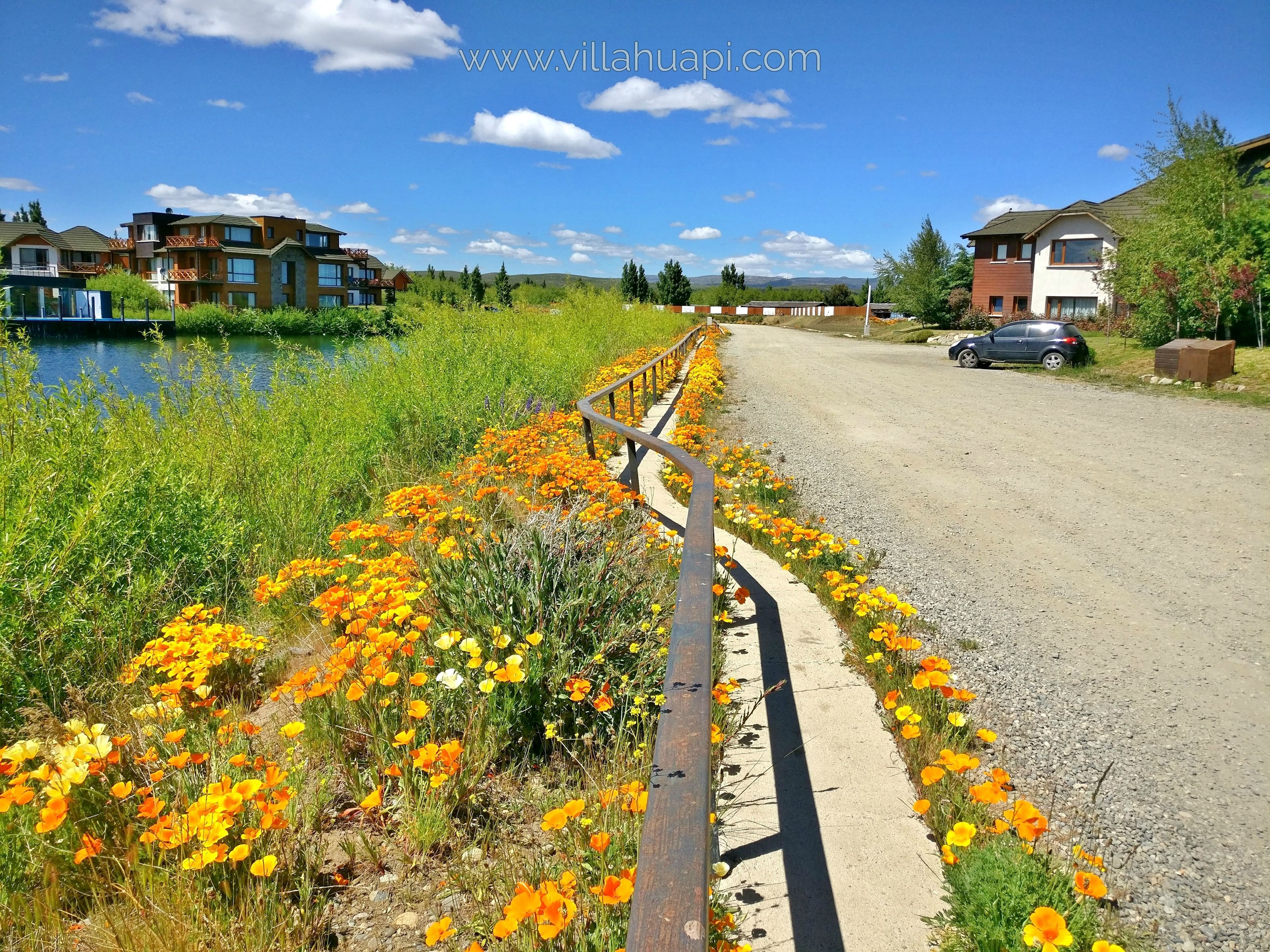 Un chemin bordé de fleurs aux couleurs vives qui mène à un quartier résidentiel avec des maisons modernes et un plan d’eau.