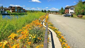 Un chemin bordé de fleurs aux couleurs vives qui mène à un quartier résidentiel avec des maisons modernes et un plan d’eau.