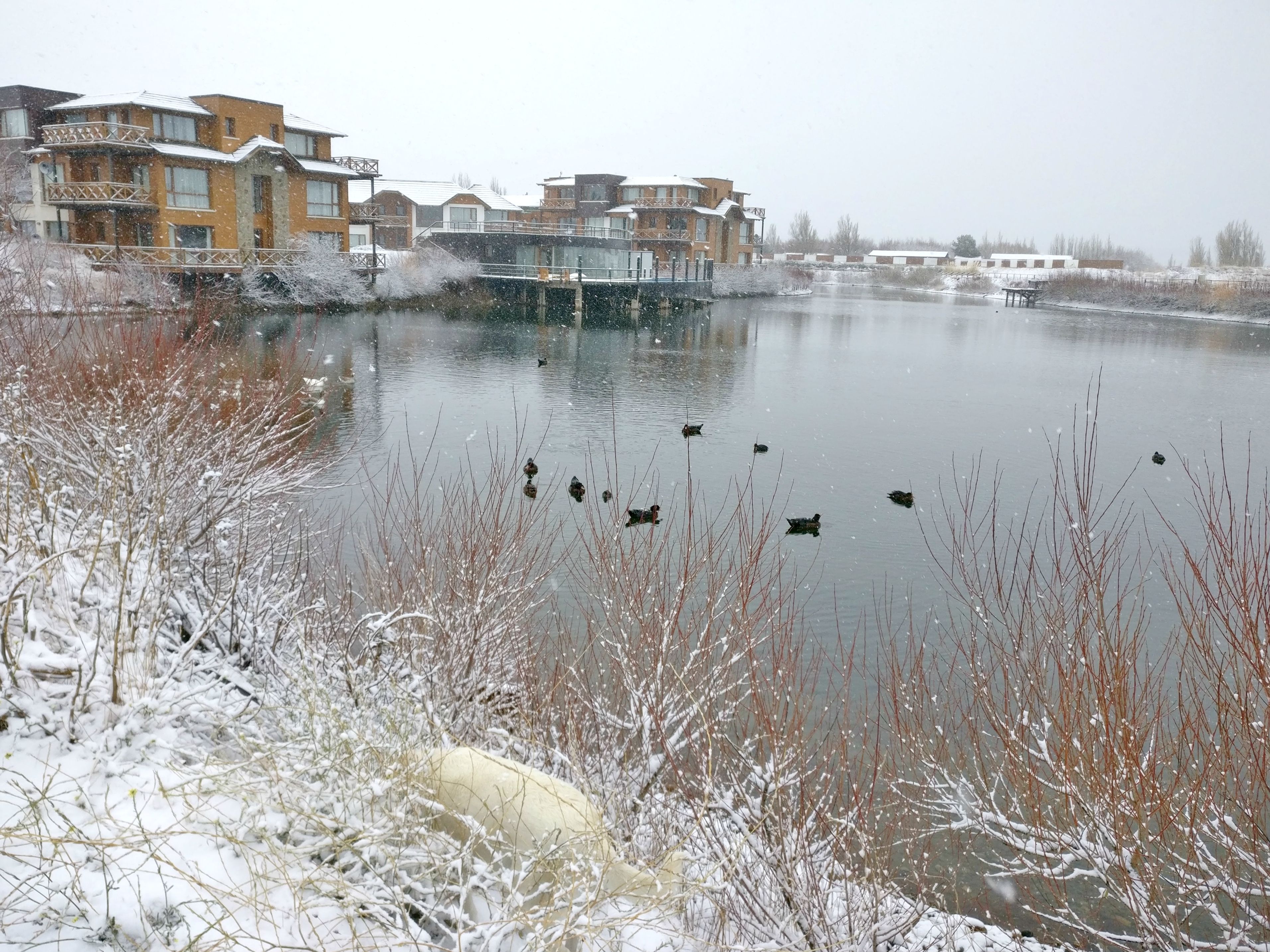 A residential area with modern buildings and a frozen lake.