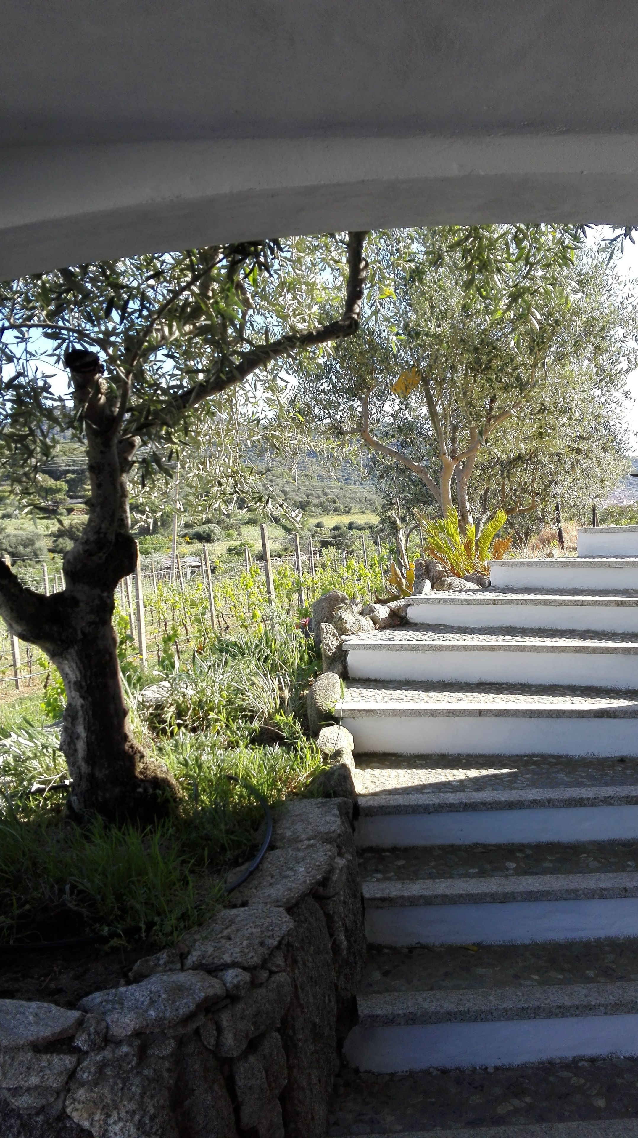 การตกแต่งภายนอก