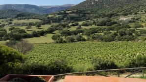 A balcony with a view of a vineyard and rolling hills.