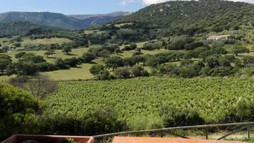 Vista dalla struttura