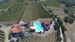 An aerial view of a property with a swimming pool, two main buildings, and vineyard rows.