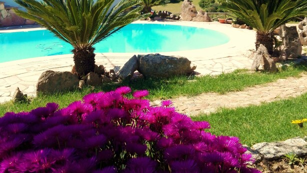 A swimming pool with palm trees and purple flowers in the foreground, surrounded by a mountainous landscape.