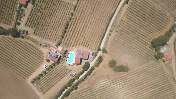 Vista aerea di un vigneto con filari di viti, una piscina e diversi edifici con tetti rossi.