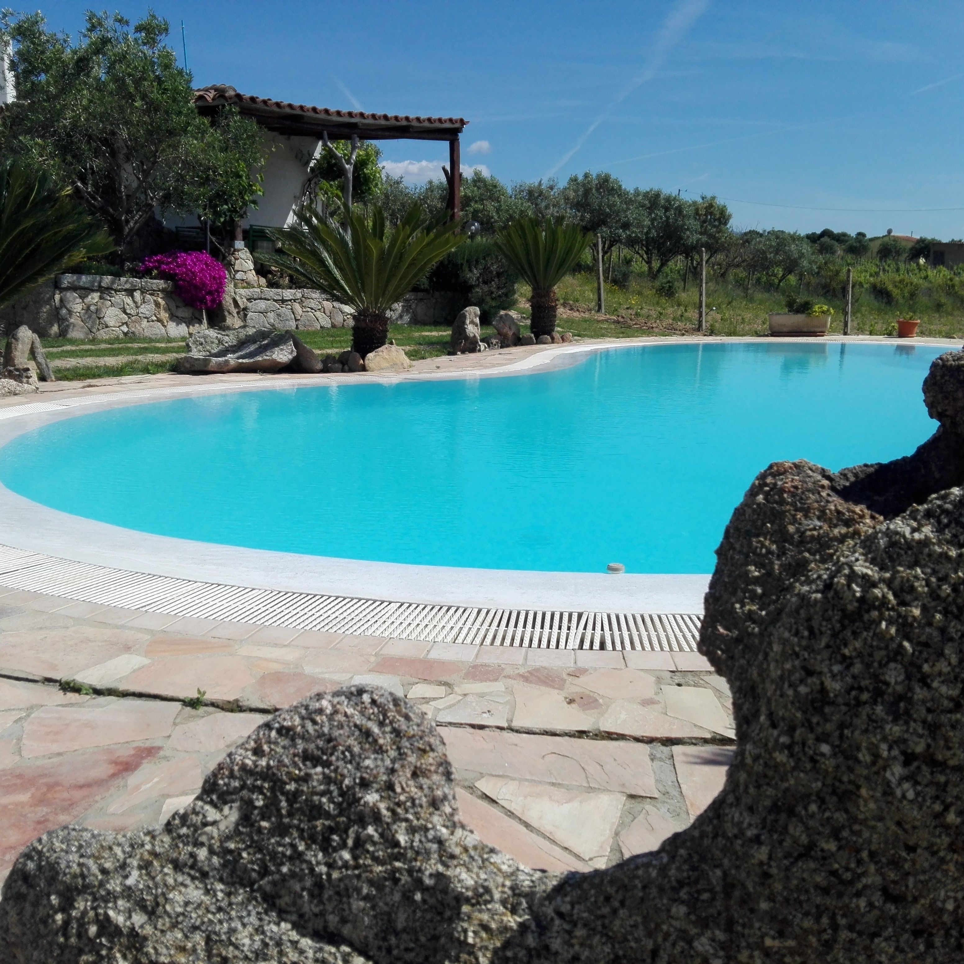 A swimming pool with a stone deck, surrounded by rocks and plants.