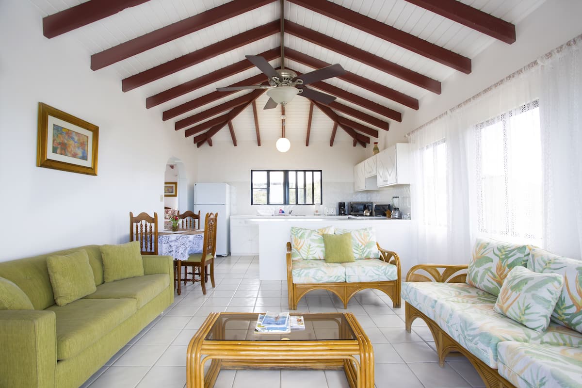 Panoramic Apartment, 1 King Bed, Ocean View, Sea Facing | Living area | TV