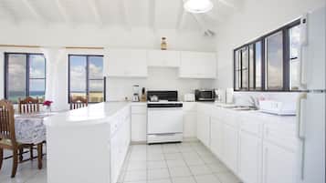 Apartamento panorâmico, 1 cama King, vista para o oceano, de frente para o mar | Cozinha privada | Geladeira grande, micro-ondas, fogão, cooktop