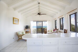 Panoramic Apartment, 1 King Bed, Ocean View, Sea Facing | 1 bedroom, individually decorated, individually furnished, free WiFi