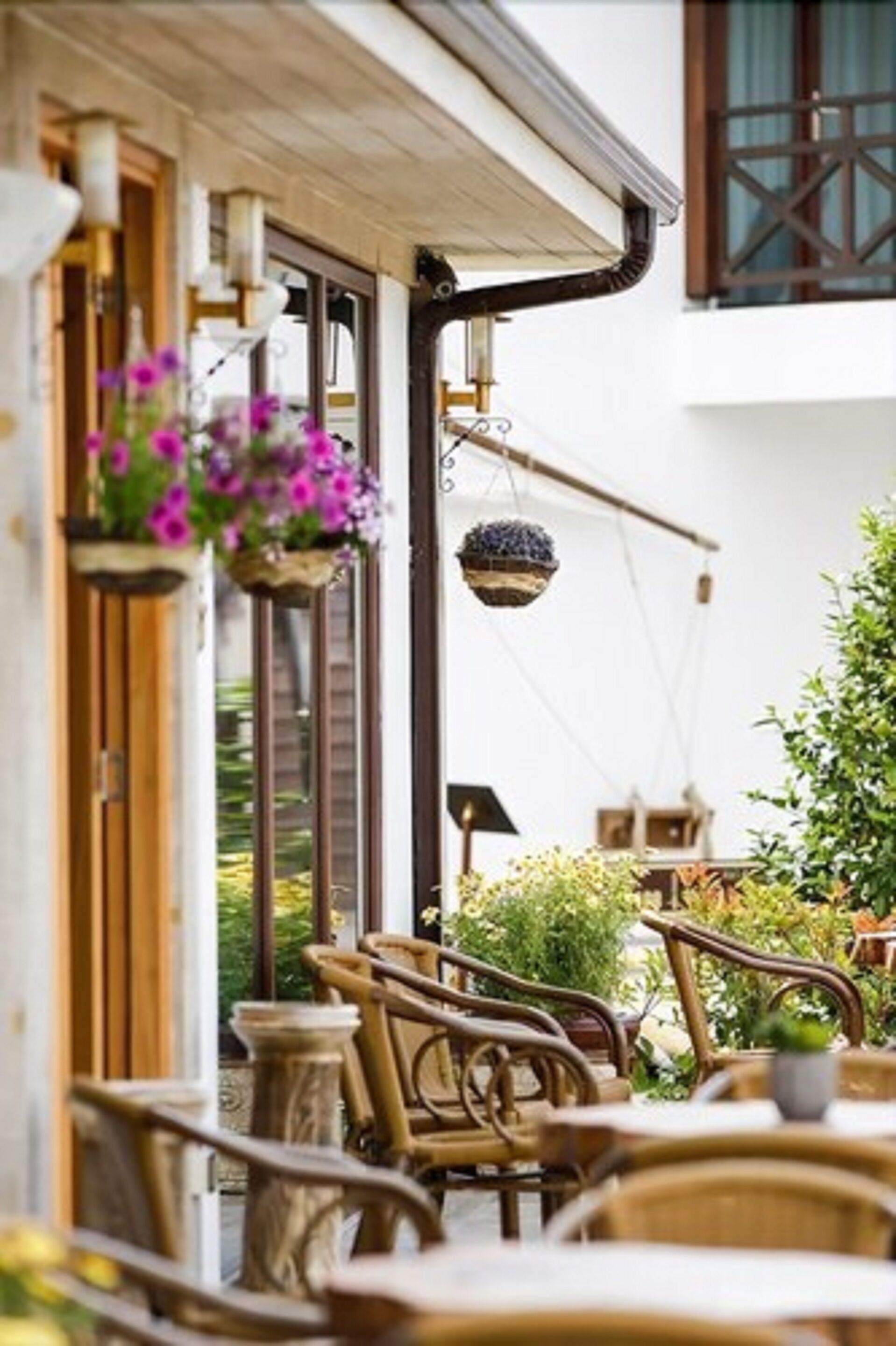 Terassi/patio