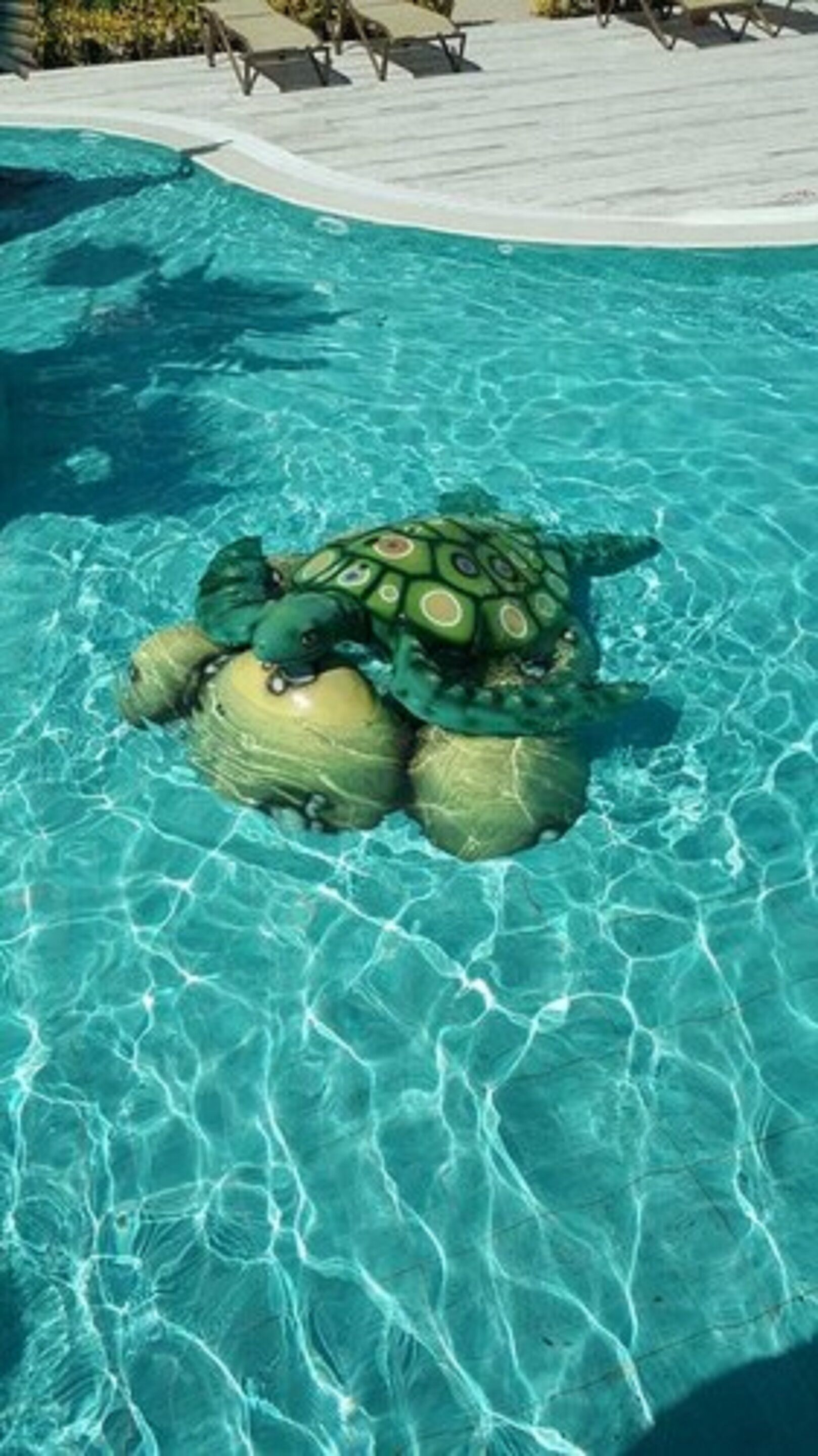 seasonal outdoor pool, open 10:00 am to 5:00 pm, free pool cabanas