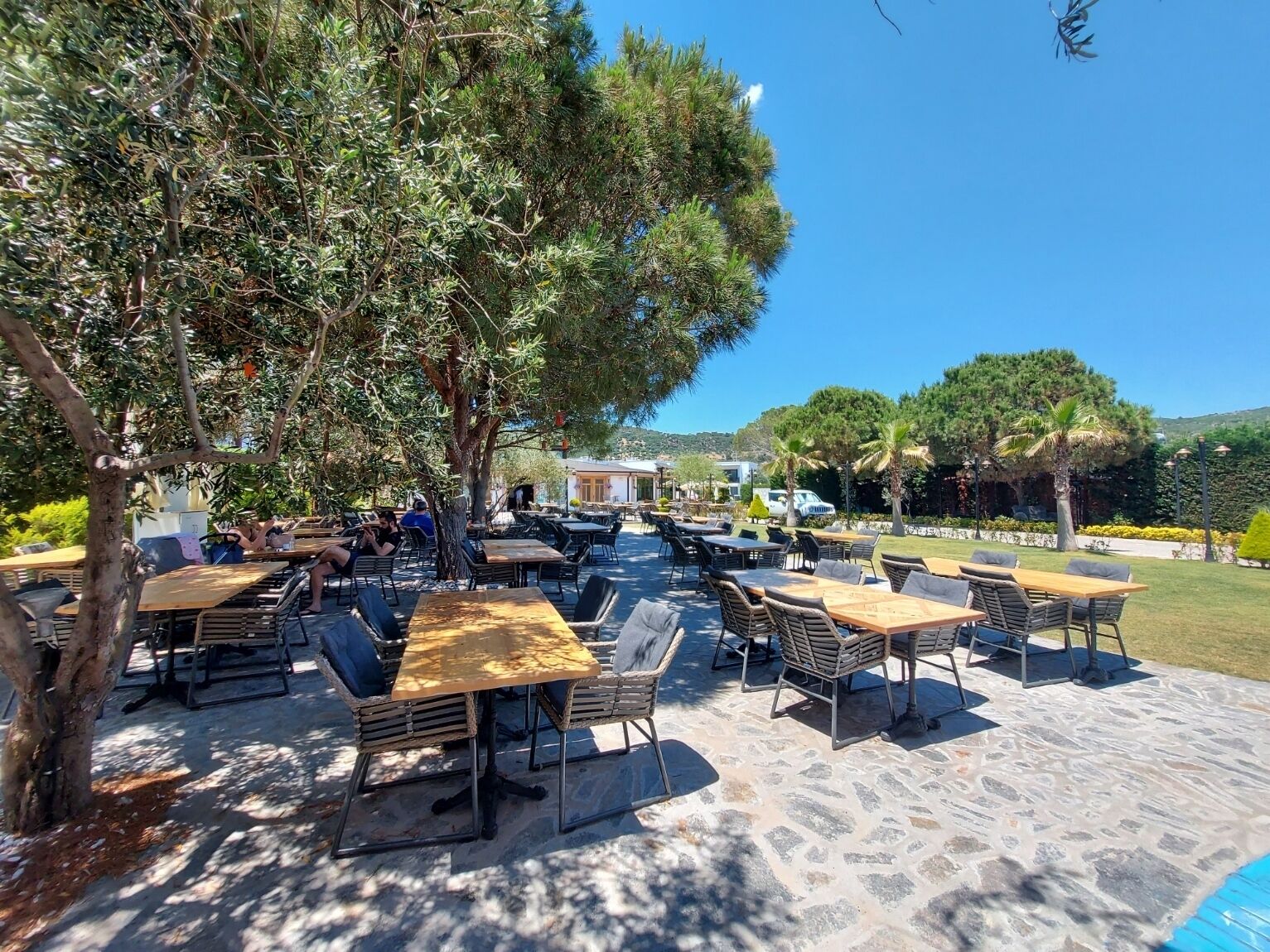 breakfast and lunch served, international cuisine