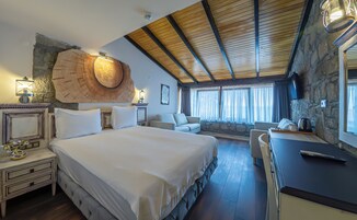 Quadro Executive Oda | Minibar, in-room safe, free WiFi, bed sheets