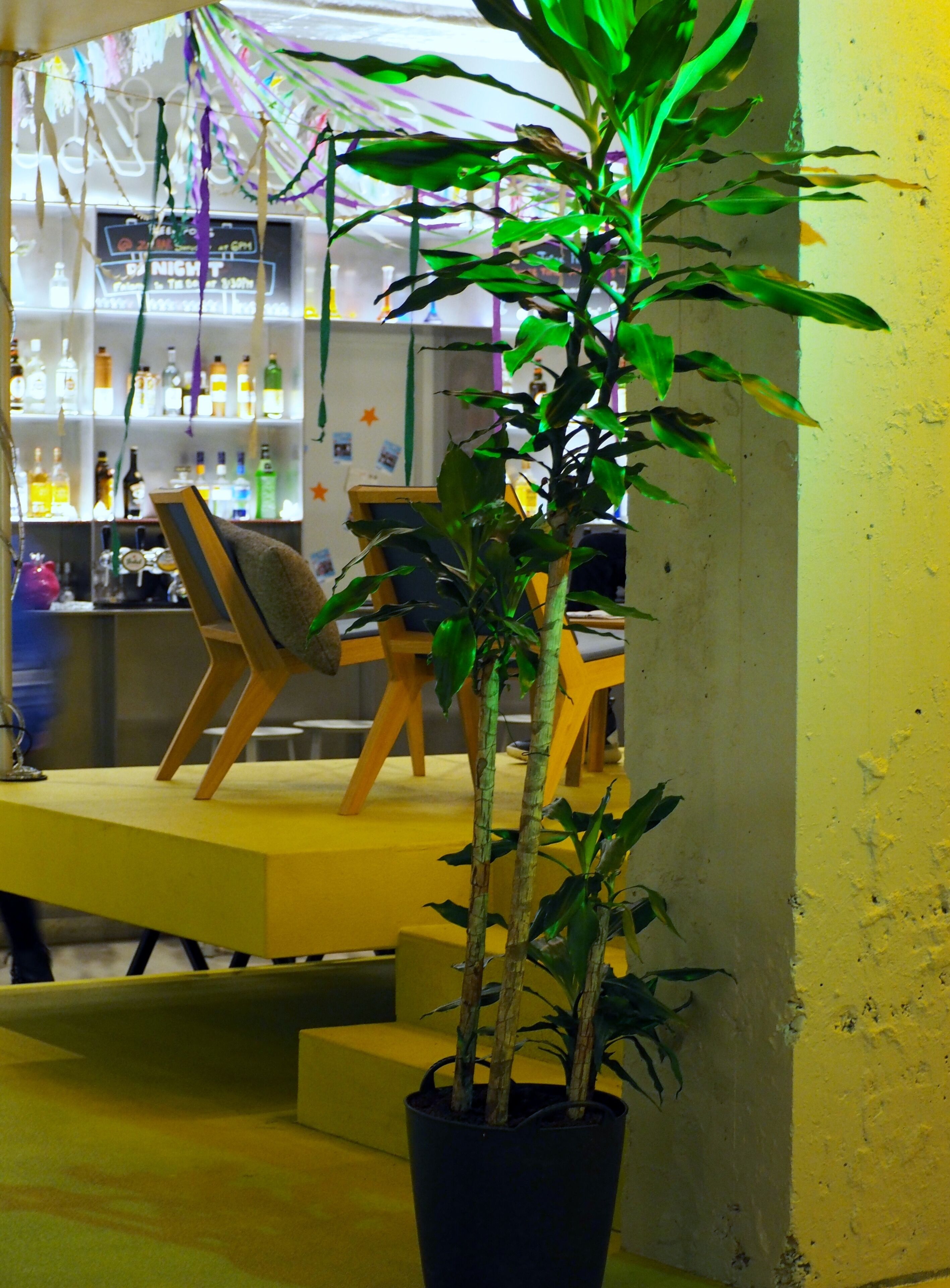 Photo - ClinkNOORD - Hostel
