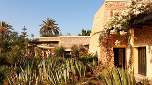 Une cour avec un bâtiment en pierre, des palmiers et diverses espèces de cactus et de fleurs.