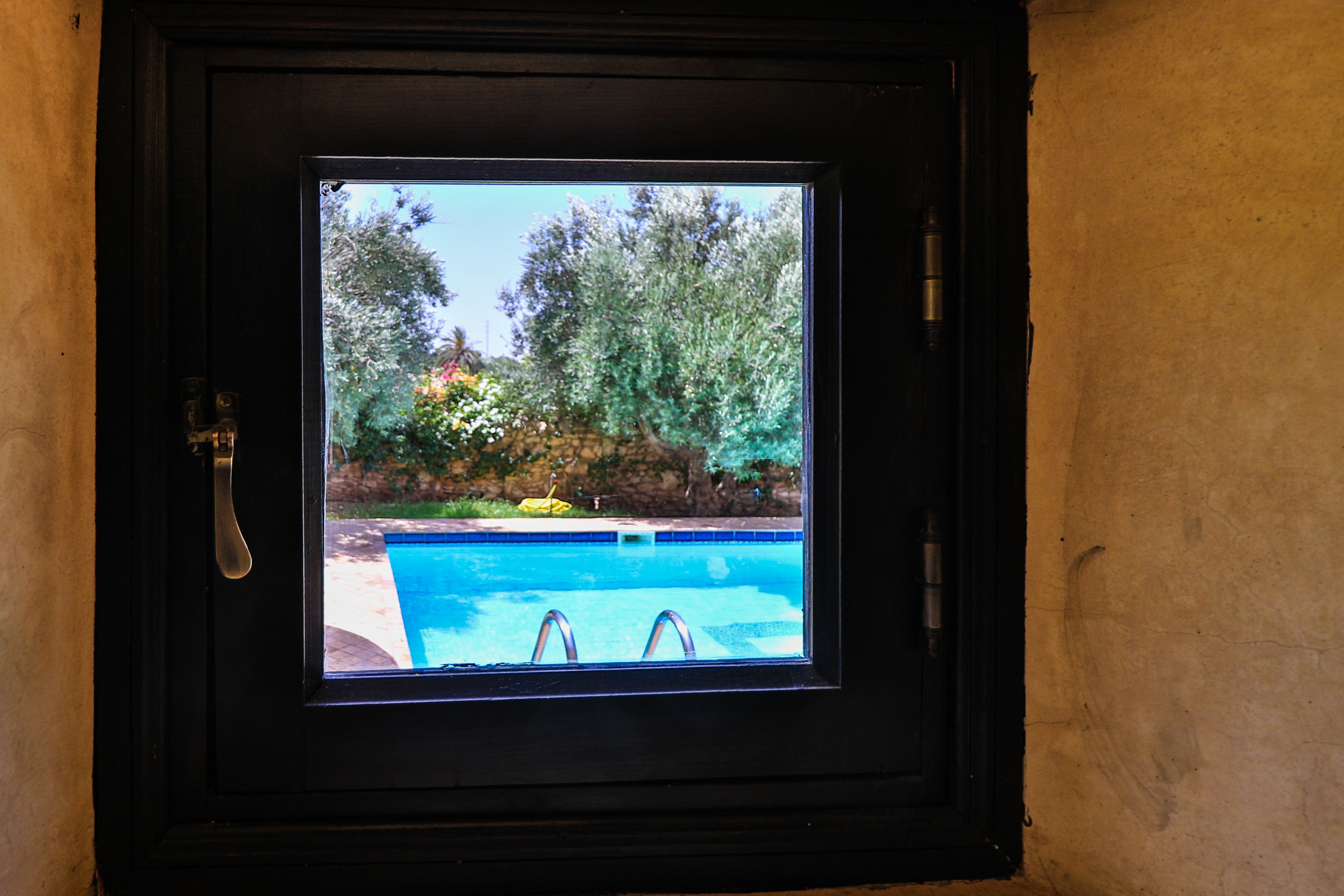 A window with a view of a swimming pool and surrounding greenery.