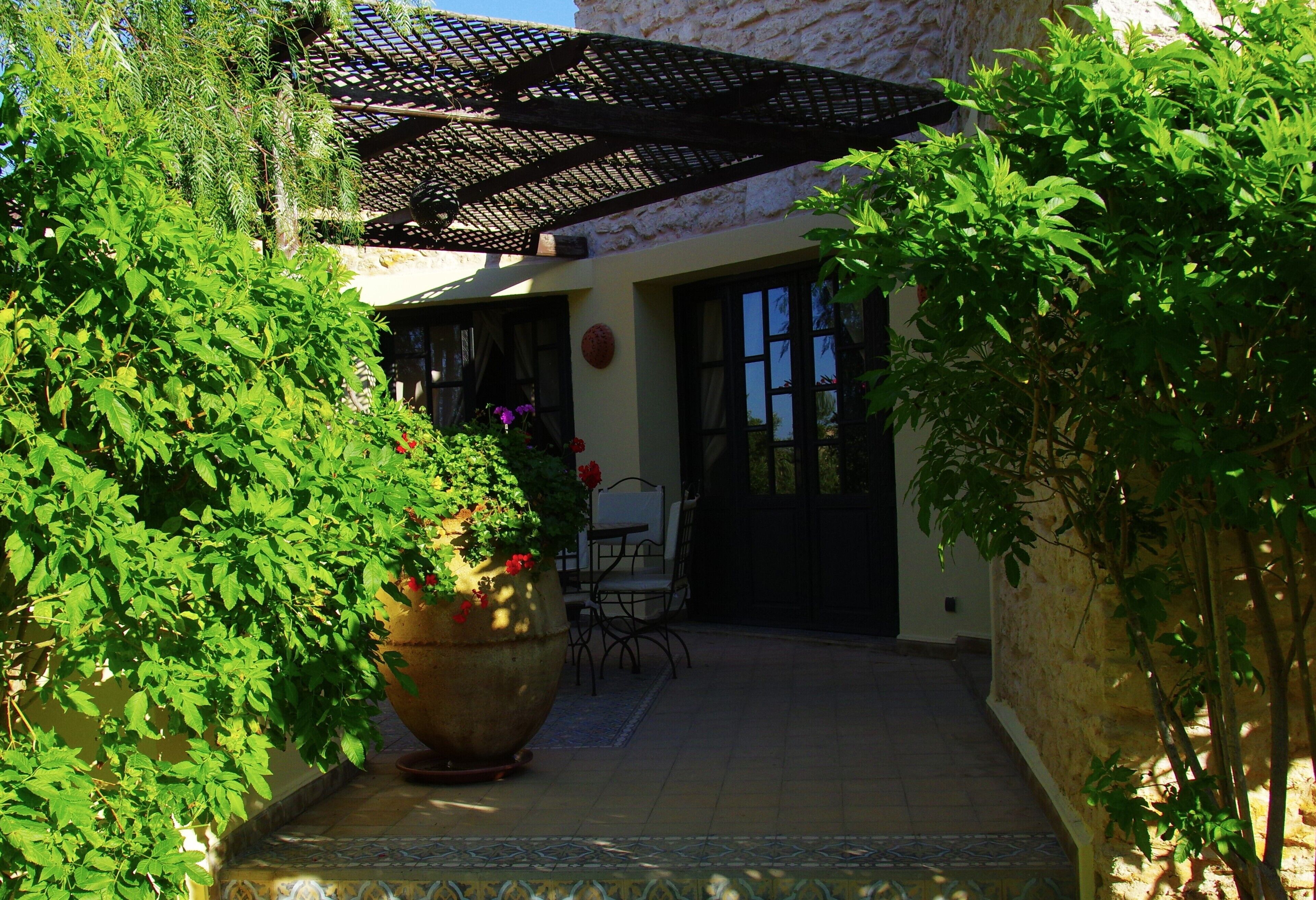 A courtyard with a large potted plant, a covered seating area, and a door leading to a building.