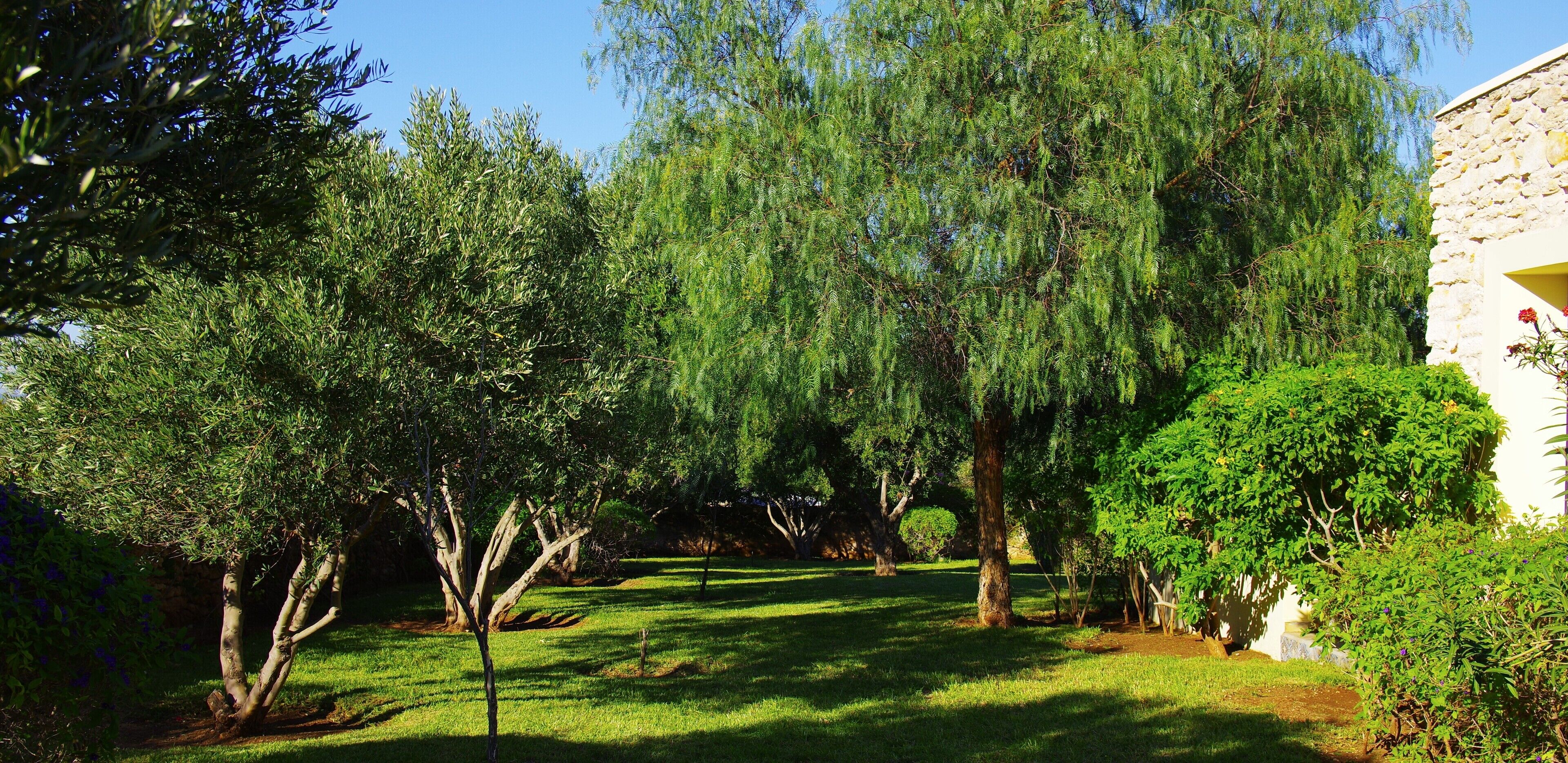Un jardí amb arbres diversos i un edifici de pedra.