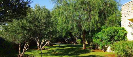 Un jardí amb arbres diversos i un edifici de pedra.