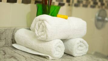 Habitación empresarial doble, vista a la montaña | Servicios de la habitación