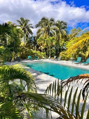 Una piscina rodeada de palmeras y sillas de descanso.