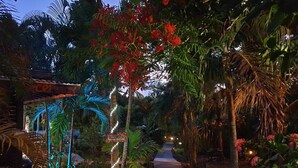 Un sendero conduce a un área de recepción rodeada de exuberante vegetación tropical y palmeras.