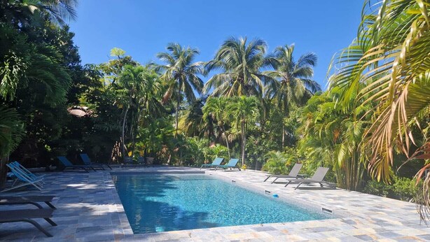 Una piscina rectangular con agua azul cristalina, rodeada de sillas de descanso y palmeras.