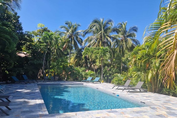 Outdoor pool, sun loungers