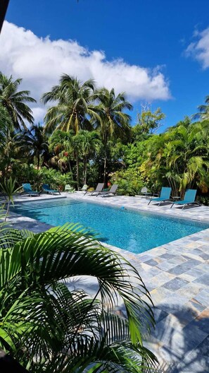 Una piscina al aire libre, sillones reclinables de piscina
