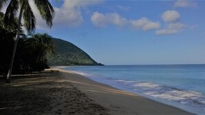 Una playa con arena, palmeras y una montaña al fondo.