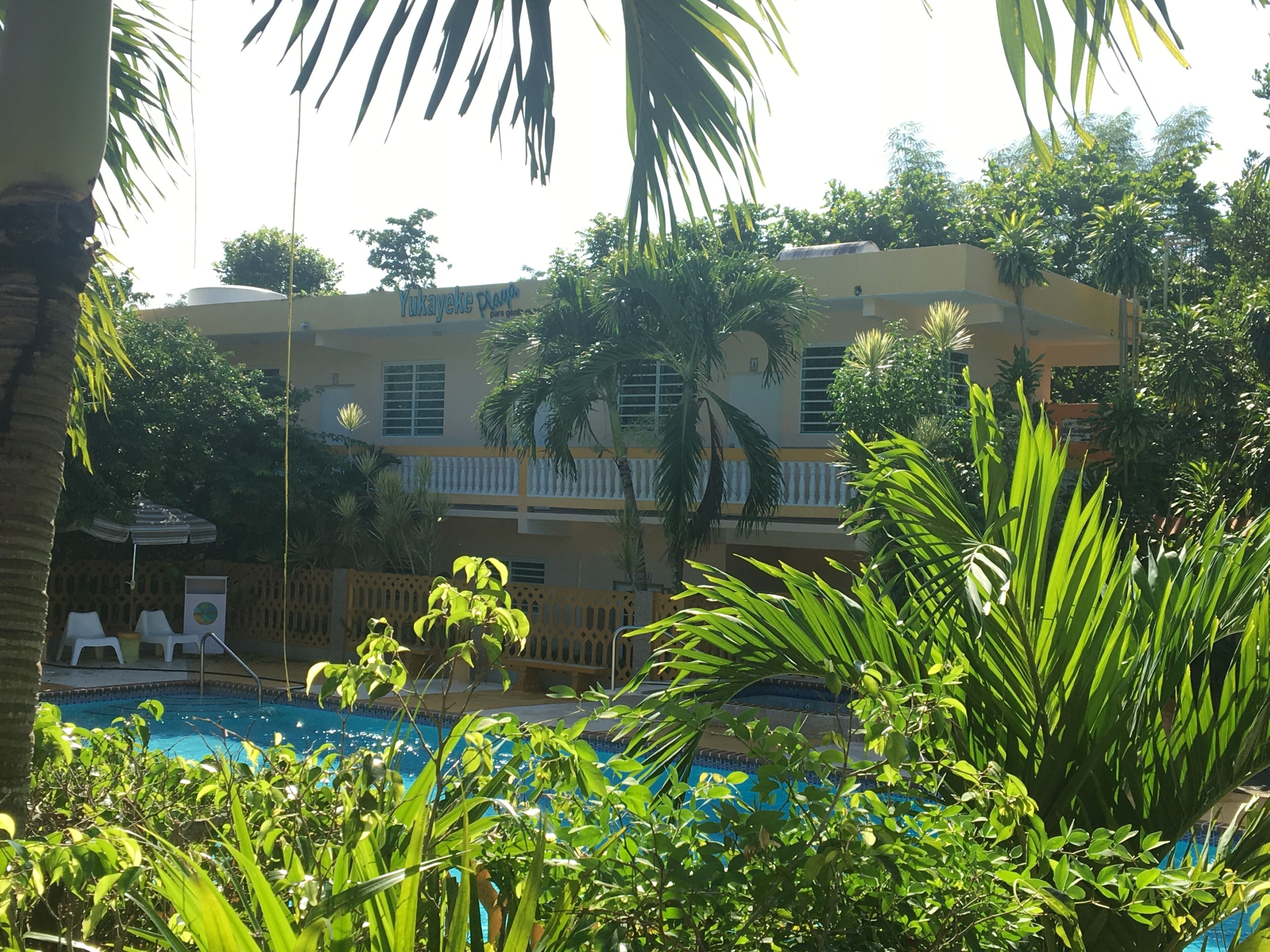 basic studio | terrace/patio