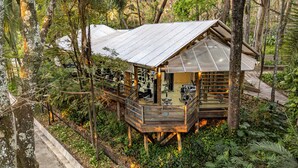 Eine Holzhütte mit einem Fitnessbereich unter Glas, umgeben von dichtem Wald.