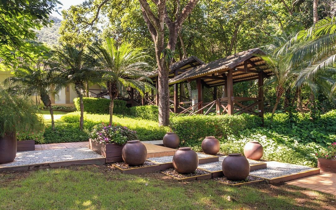 Um jardim com estrutura de madeira, vasos de plantas e um caminho pavimentado.