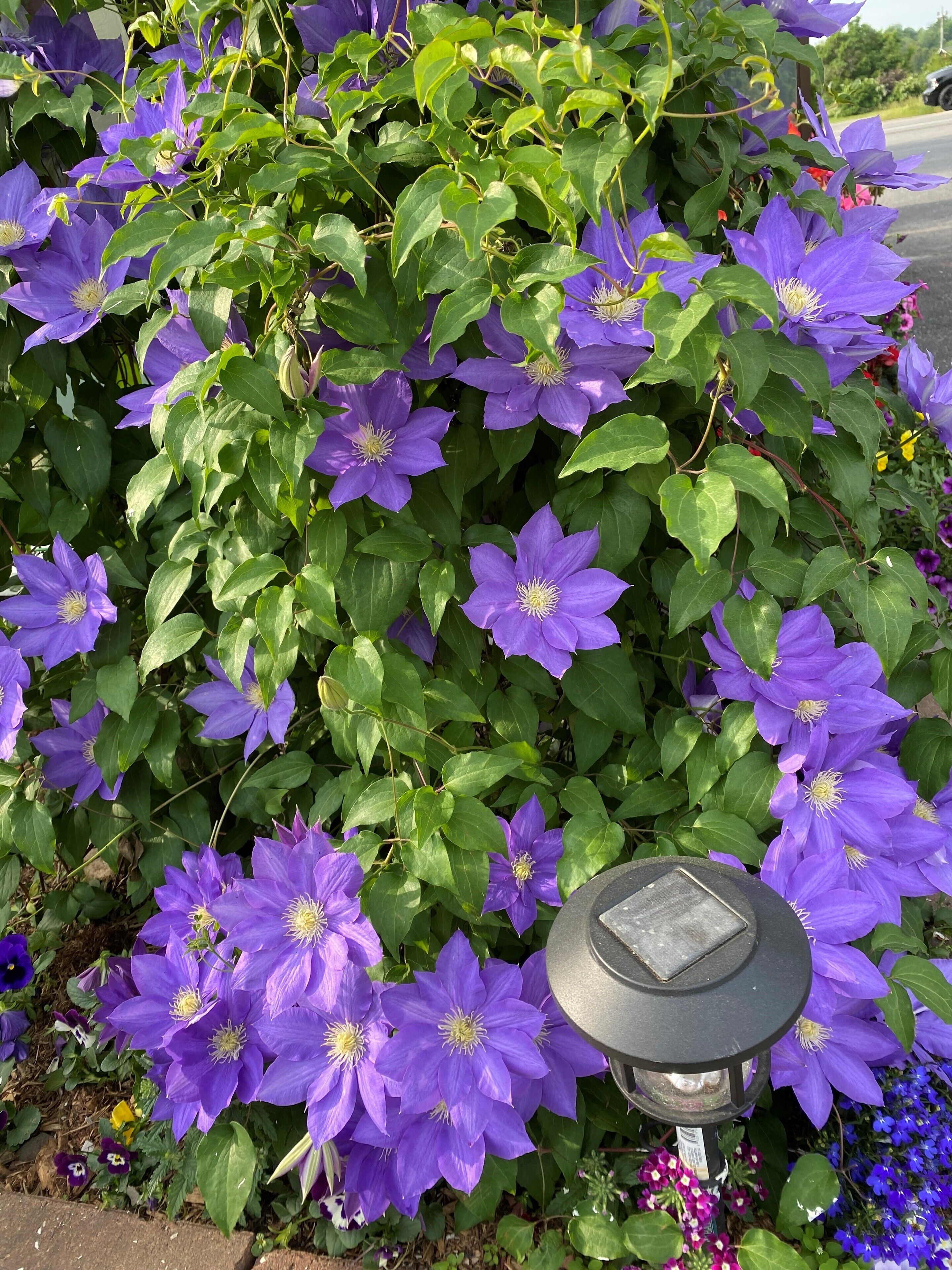 Photo - Hotel Motel Bonsoir