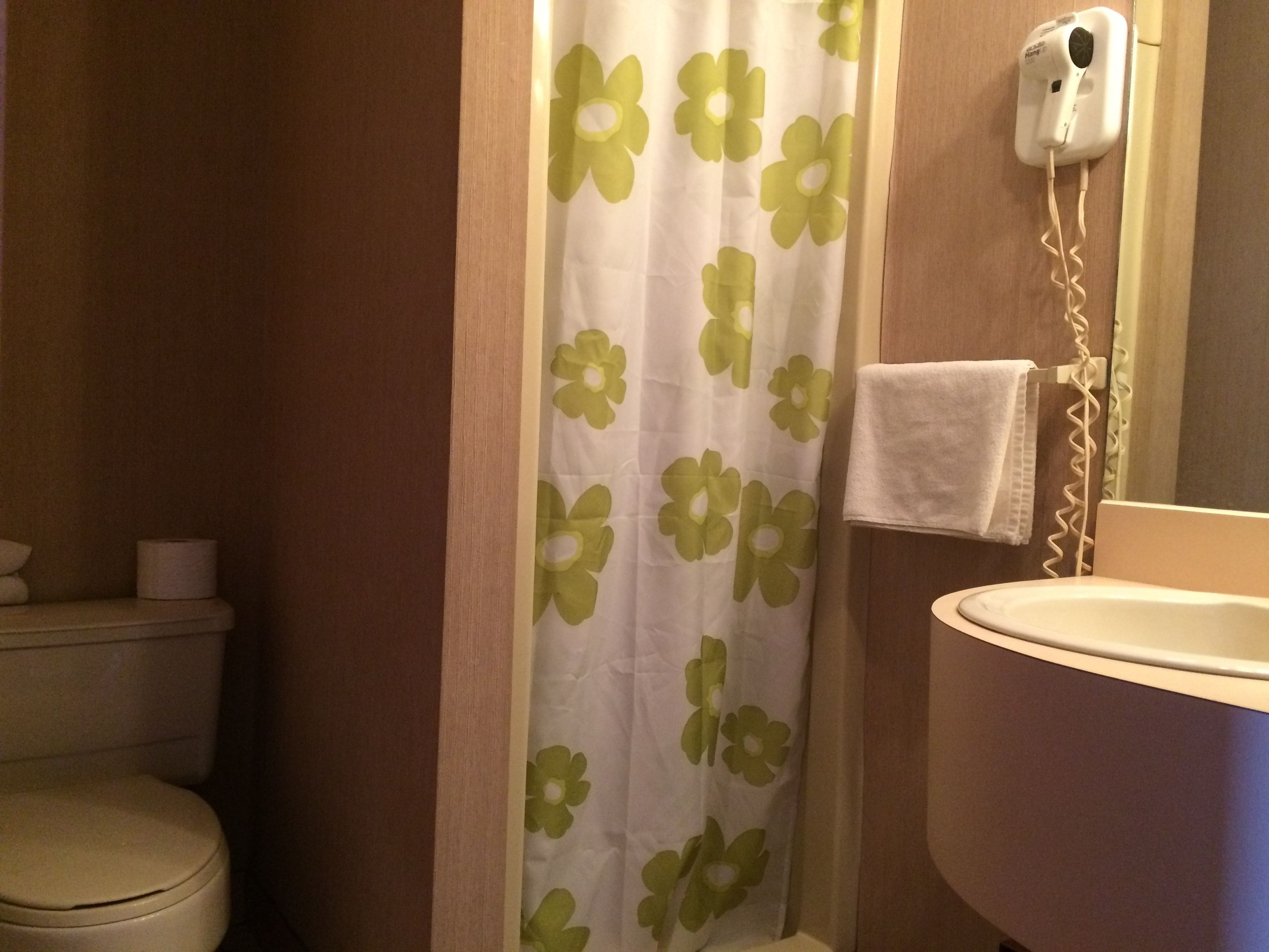 A bathroom with a toilet, a sink, and a shower curtain with a floral pattern.